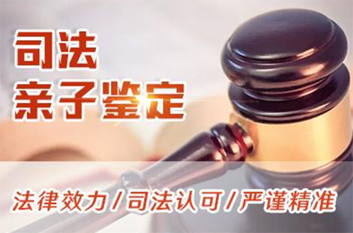 徐州入学DNA鉴定如何做,徐州升学亲子鉴定机构到哪里
